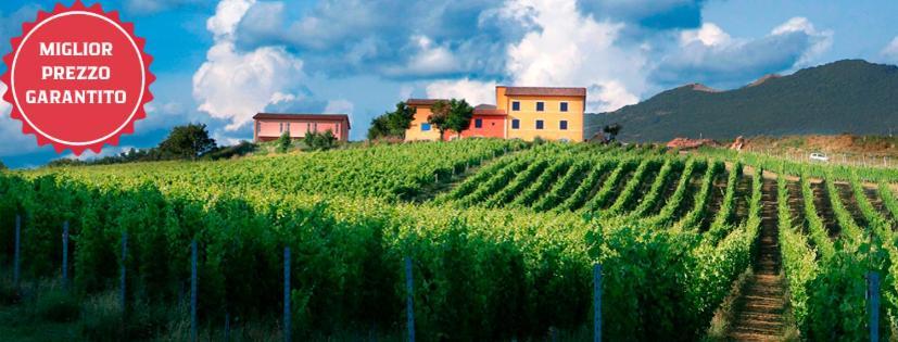 Tenuta Grimaldi Wine Resort Matelica Eksteriør billede